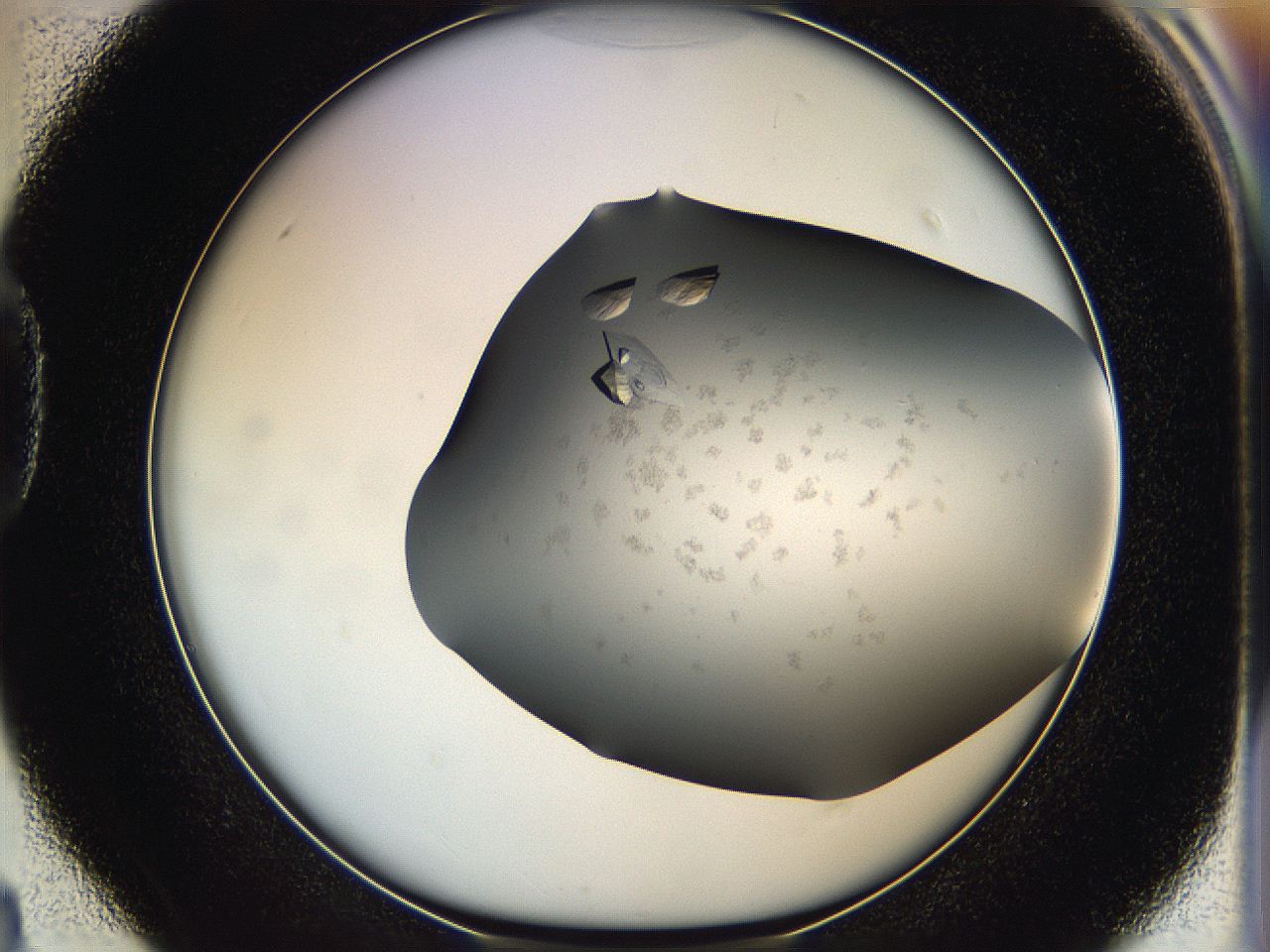 05g1_D4_ImagerDefaults_8.jpg
