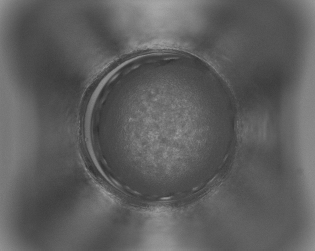 X0000052150437200507051955.png
