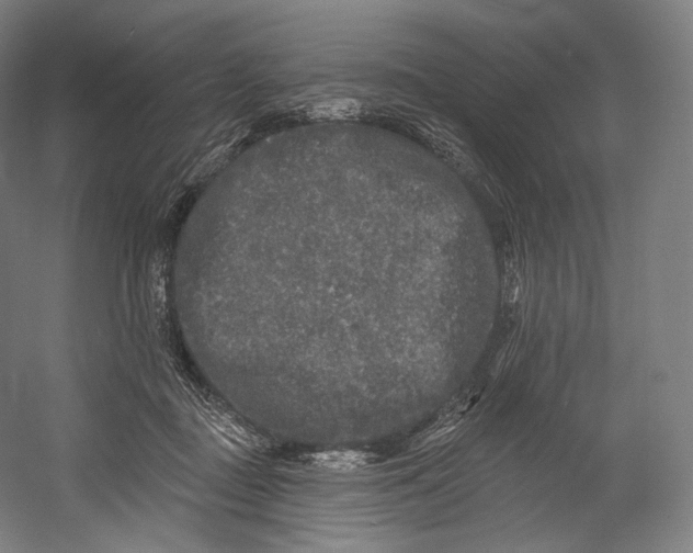 X0000055210363200508301328.png