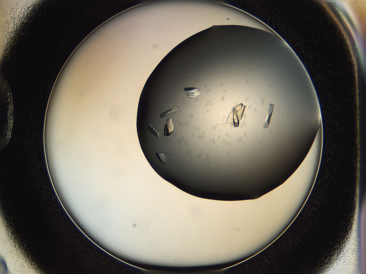 05g1_D2_ImagerDefaults_9.jpg