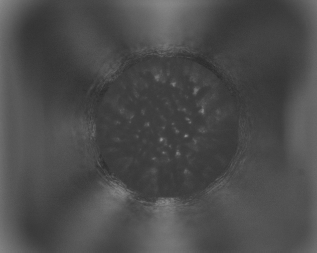 X0000052730240200507141554.png