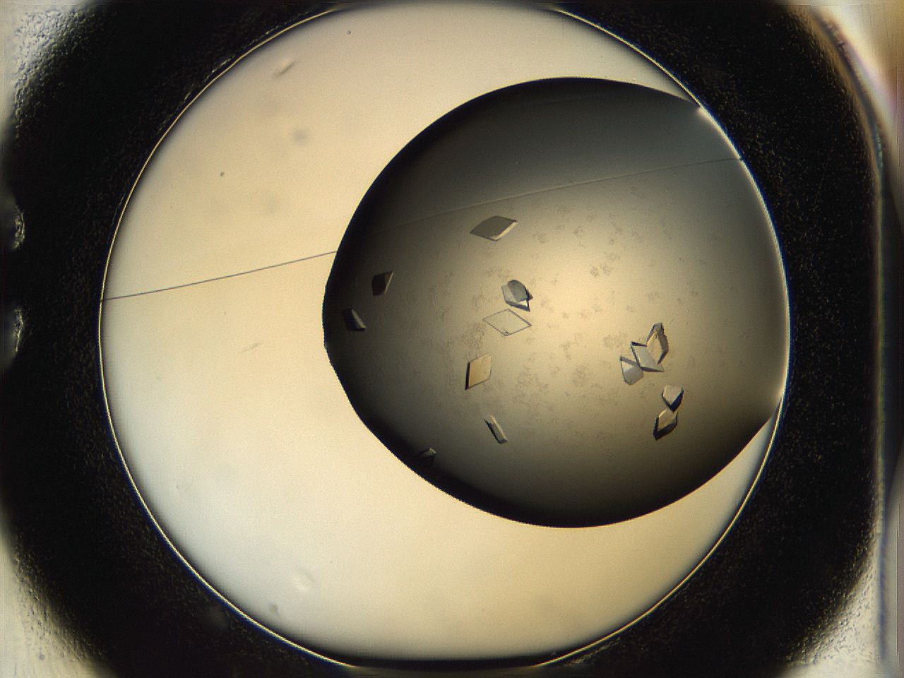 05g1_C1_ImagerDefaults_9.jpg