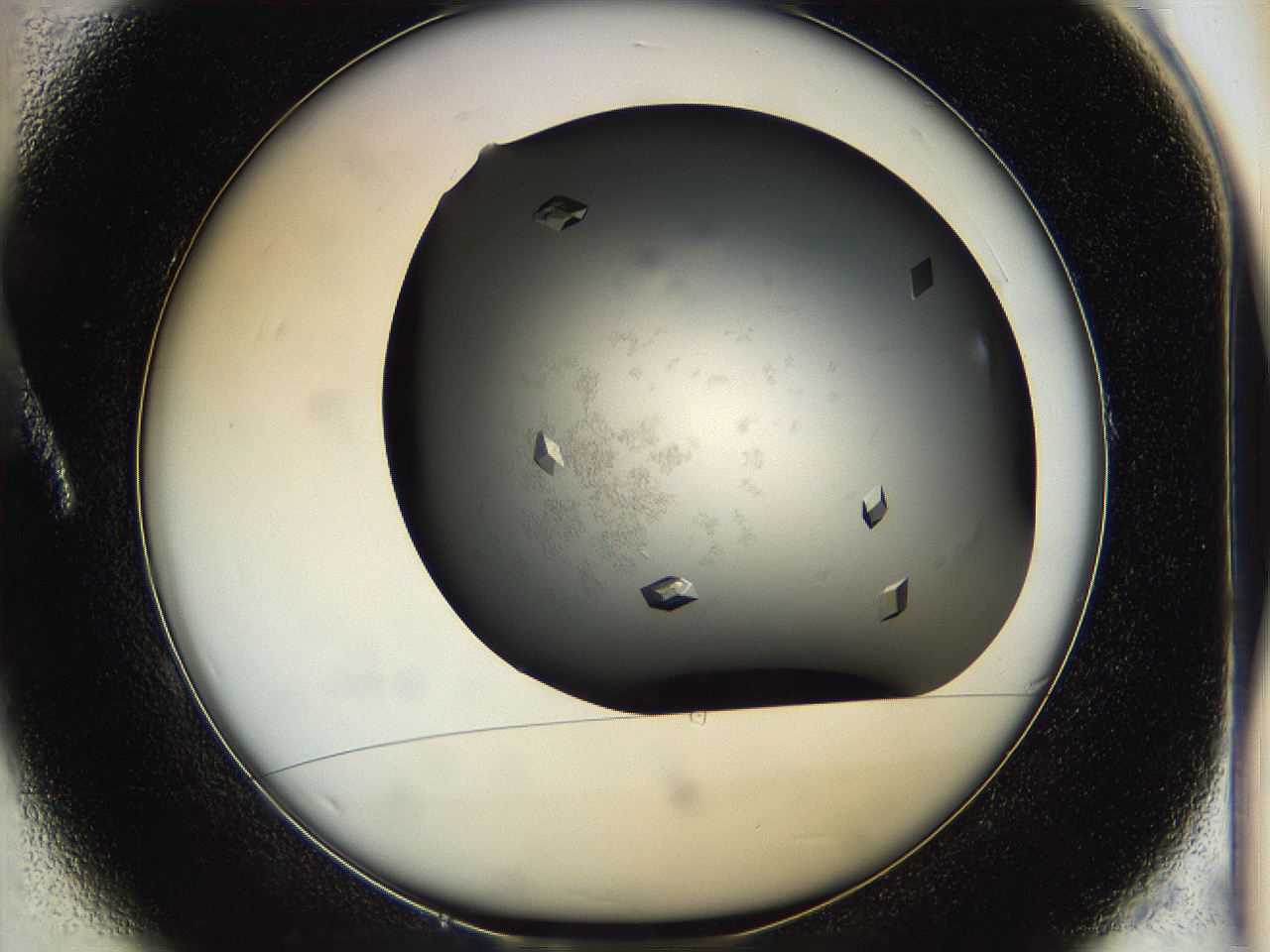 05g1_A1_ImagerDefaults_8.jpg