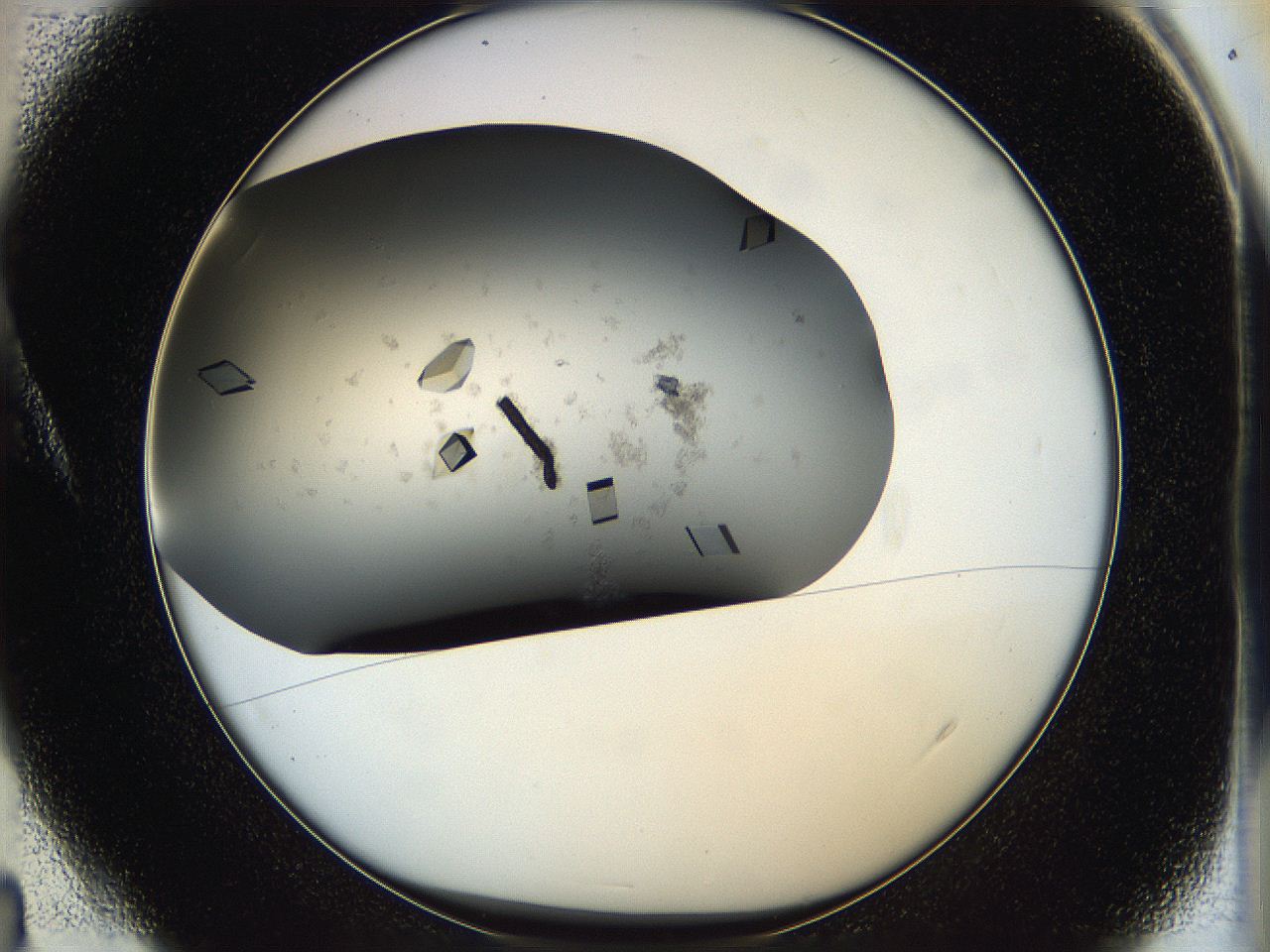 05g1_A4_ImagerDefaults_9.jpg