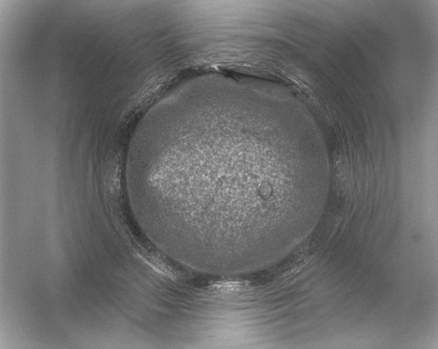 X0000054300499200508042314.png