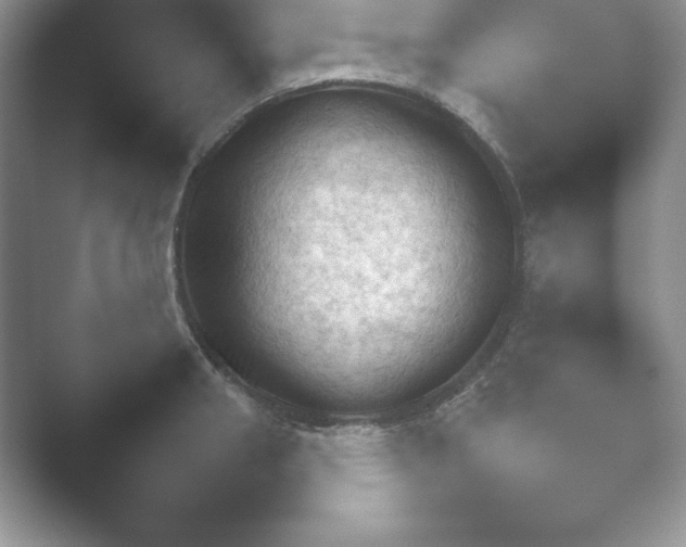 X0000052451282200507211304.png
