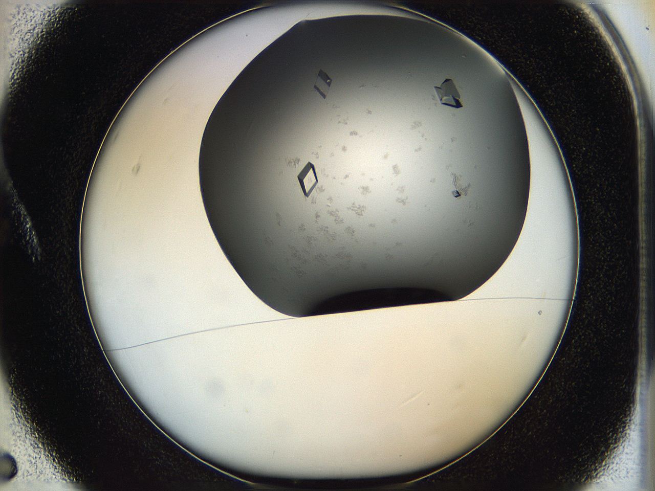 05g1_A5_ImagerDefaults_8.jpg
