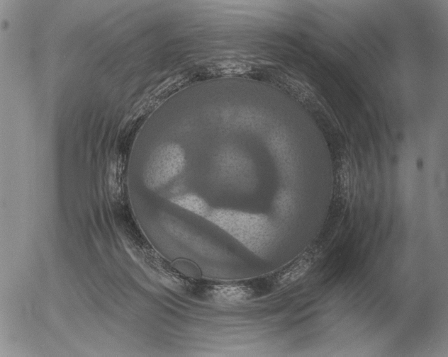 X0000054170218200508101808.png