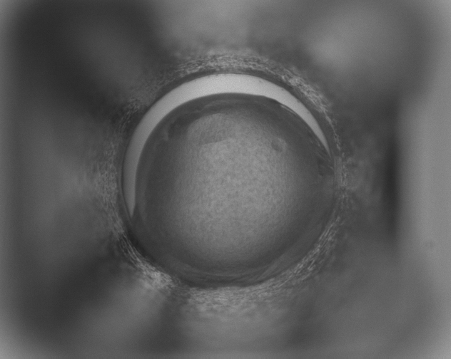 X0000052020009200507181638.png