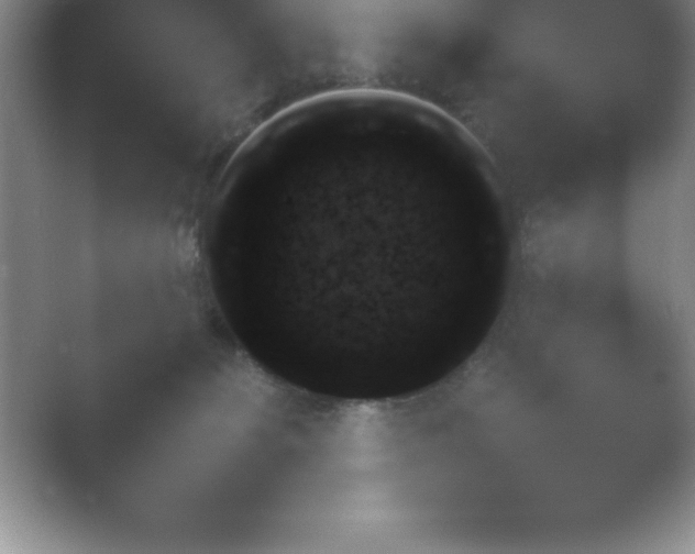 X0000054730131200508171902.png