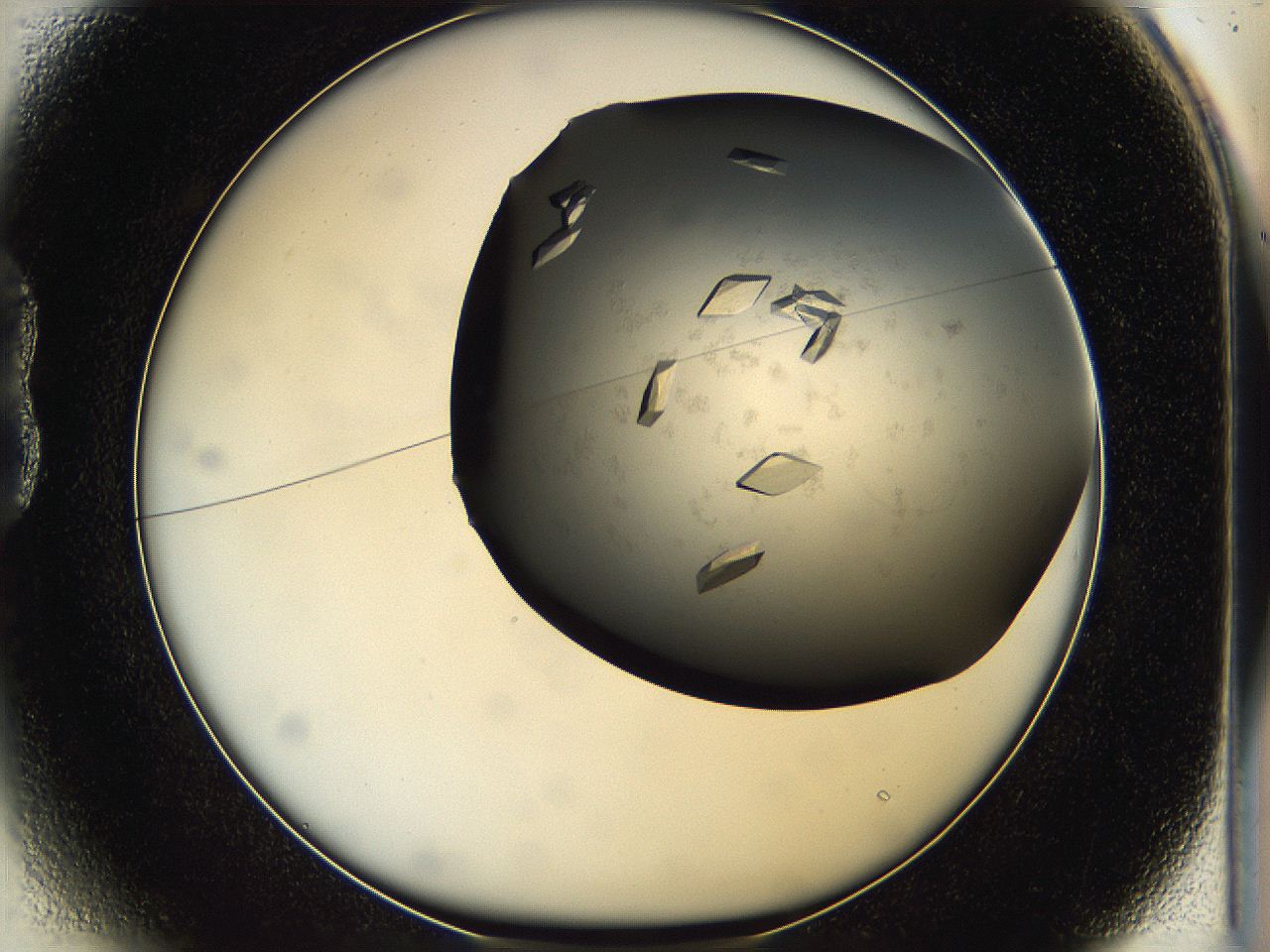 05g1_B1_ImagerDefaults_9.jpg