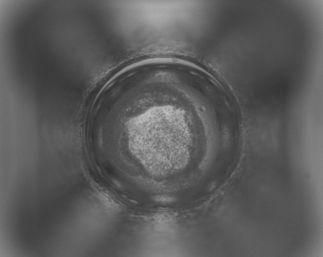 X0000052280345200507132034.png
