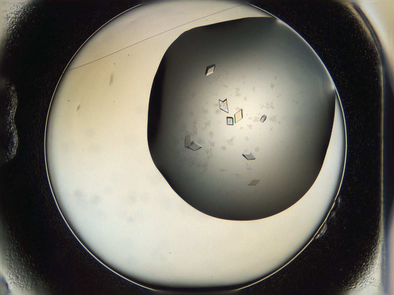 05g1_B2_ImagerDefaults_8.jpg