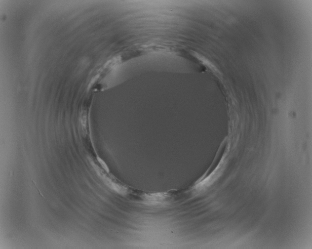 X0000054170192200508101809.png