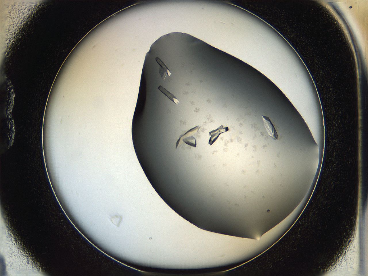 05g1_B4_ImagerDefaults_9.jpg