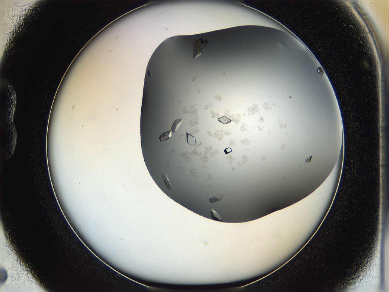 05g1_B5_ImagerDefaults_8.jpg