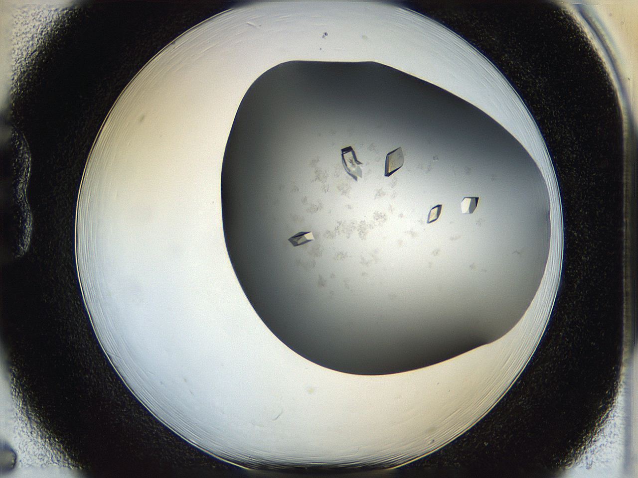05g1_B6_ImagerDefaults_8.jpg