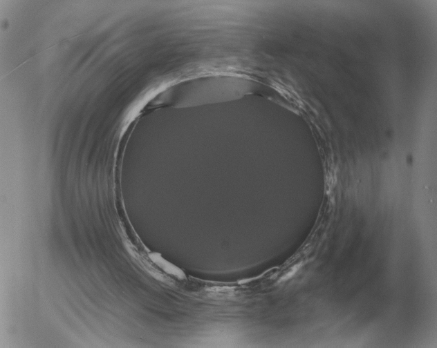 X0000054170052200508101810.png