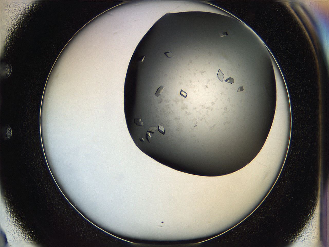 05g1_E3_ImagerDefaults_8.jpg