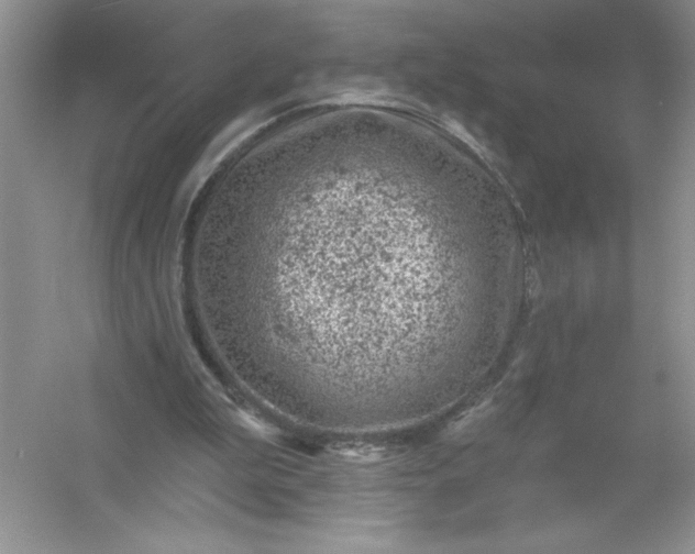X0000054300199200508042319.png