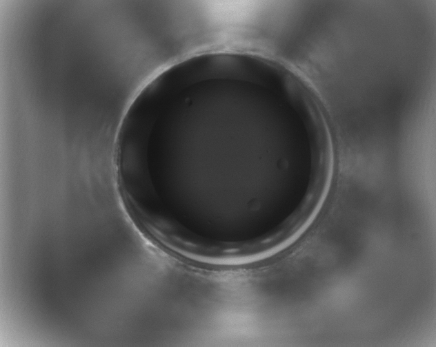 X0000054731434200508171840.png