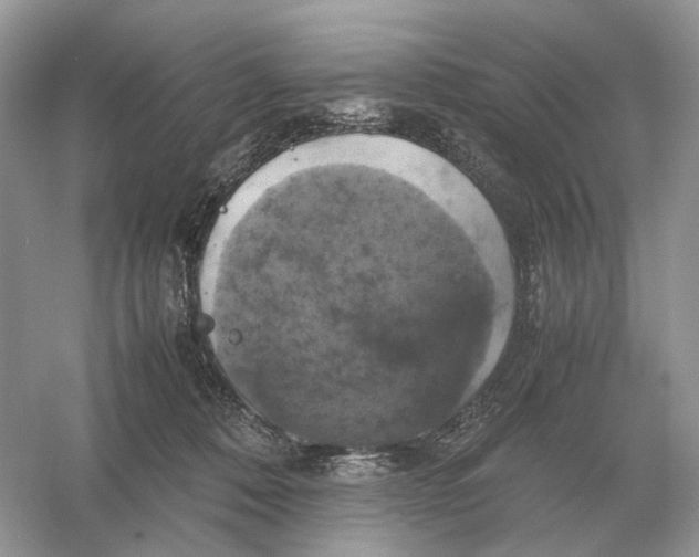 X0000054350320200508190135.png