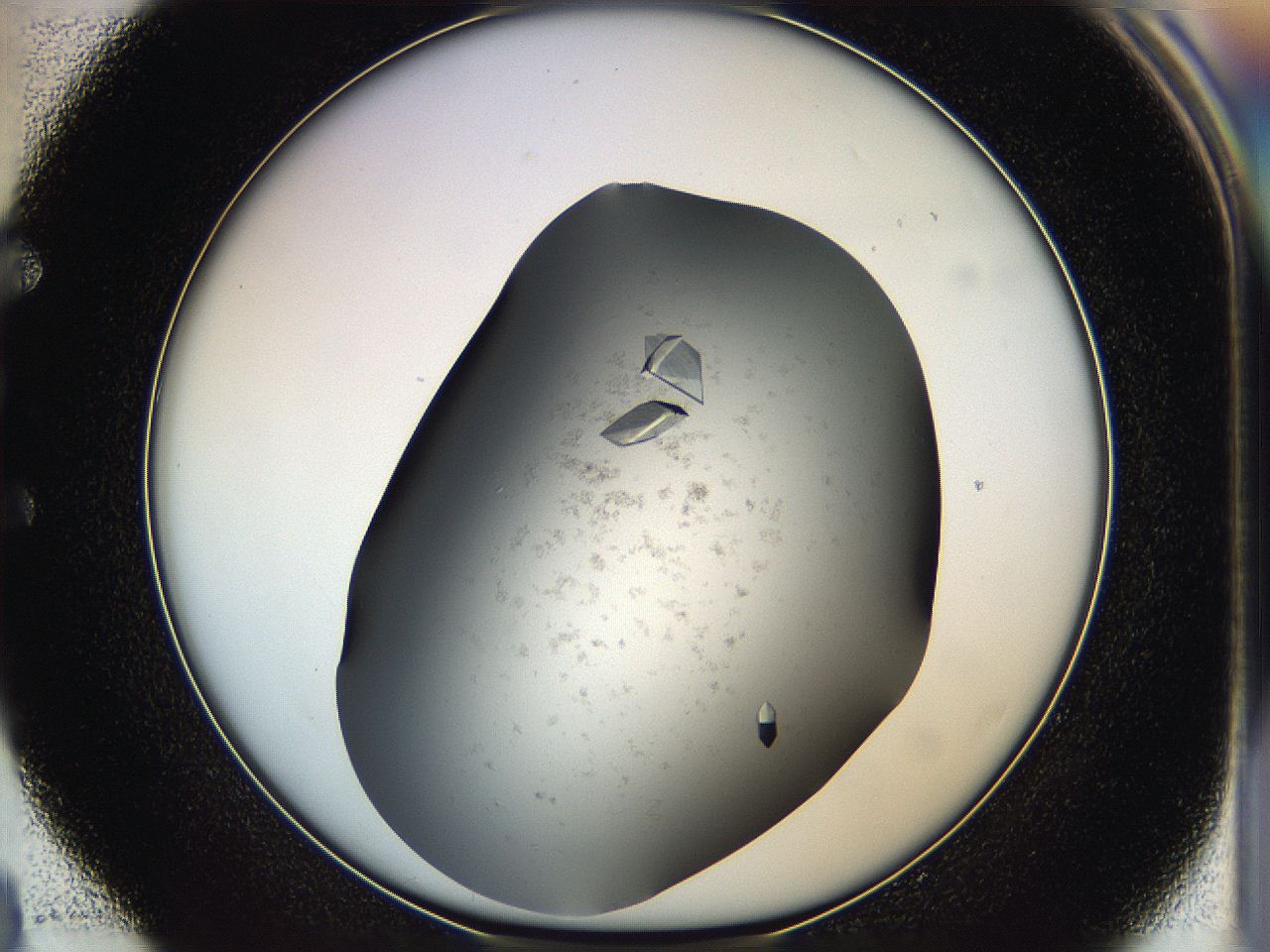 05g1_E4_ImagerDefaults_9.jpg
