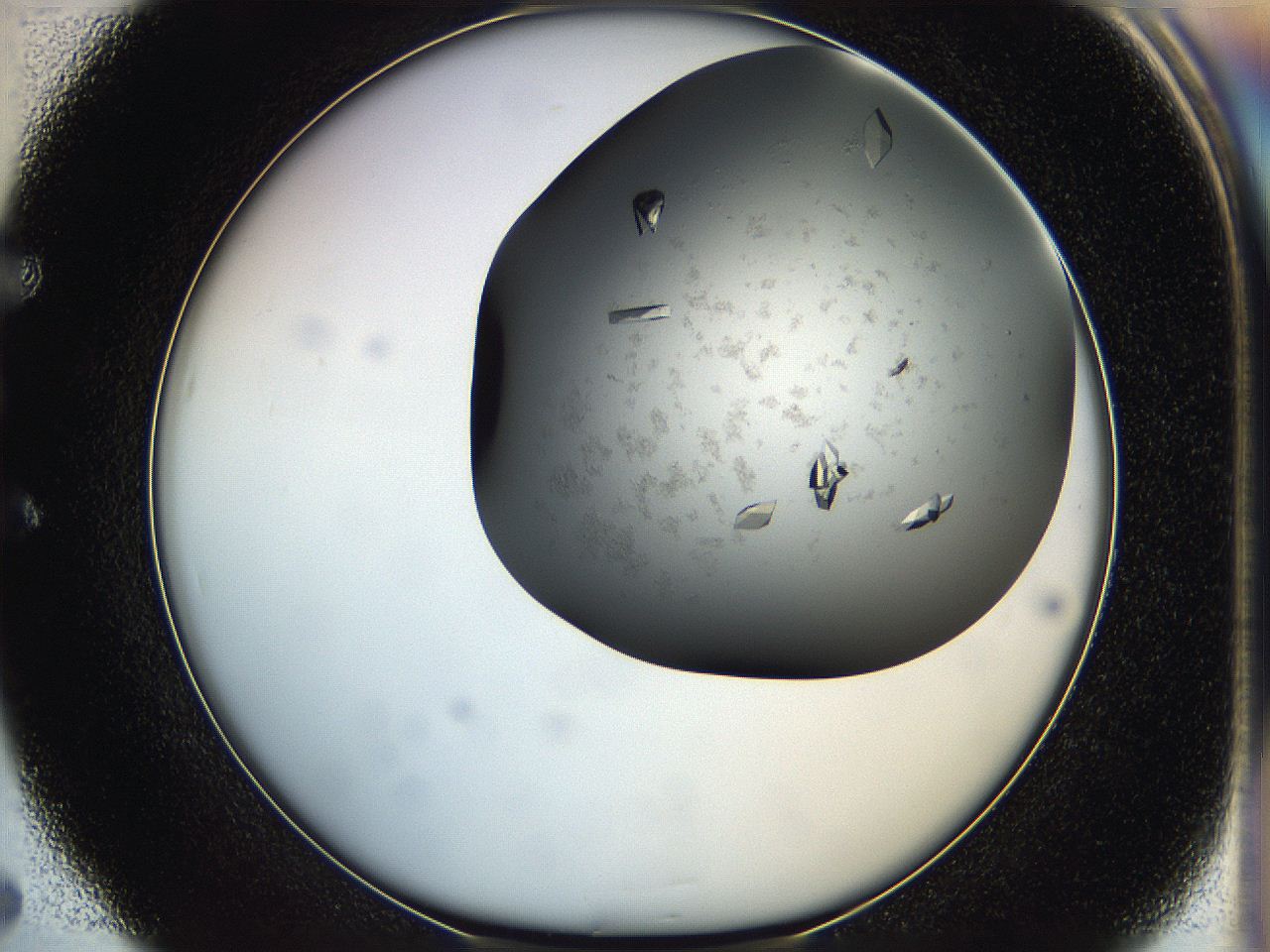 05g1_E5_ImagerDefaults_8.jpg
