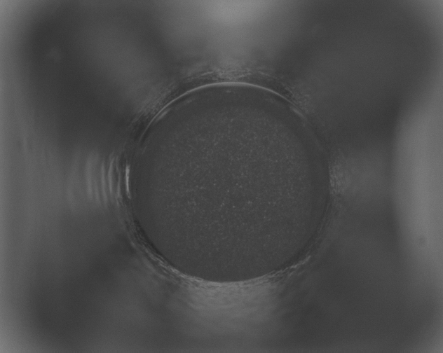 X0000051540046200506281750.png
