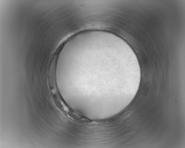 X0000054270434200508261920.png