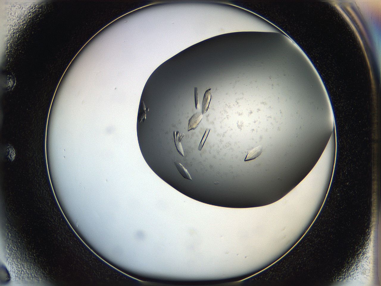 05g1_E6_ImagerDefaults_8.jpg