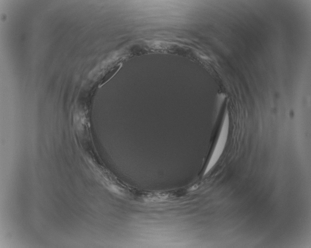 X0000054170235200508101807.png