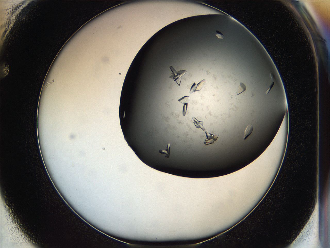 05g1_F1_ImagerDefaults_9.jpg