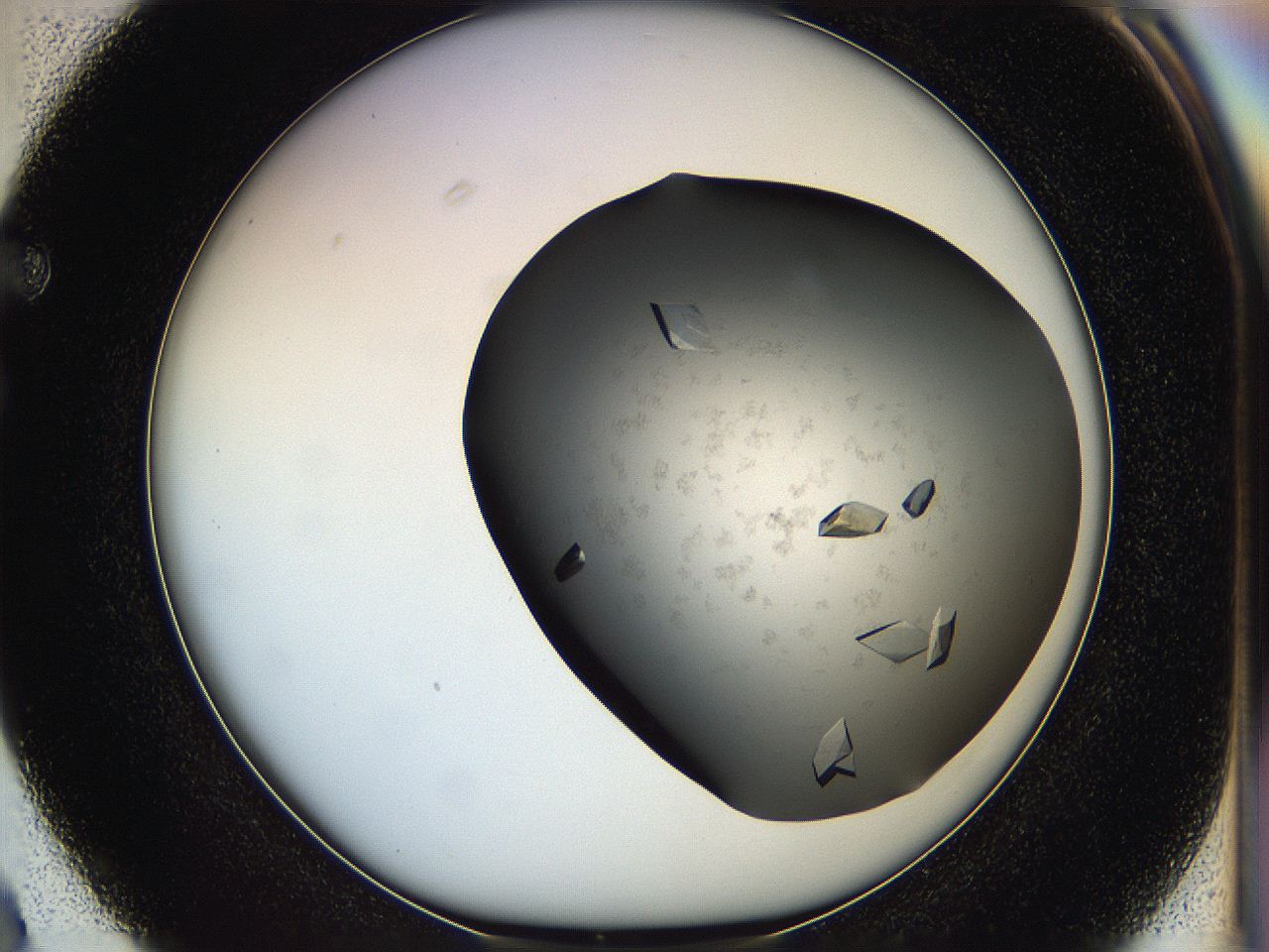05g1_F3_ImagerDefaults_9.jpg