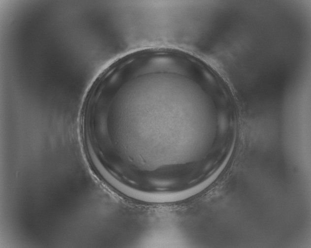 X0000052280958200507132025.png