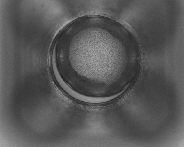 X0000038921036200409291000.png