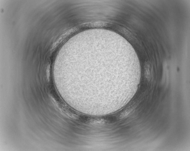 X0000054230206200508171520.png