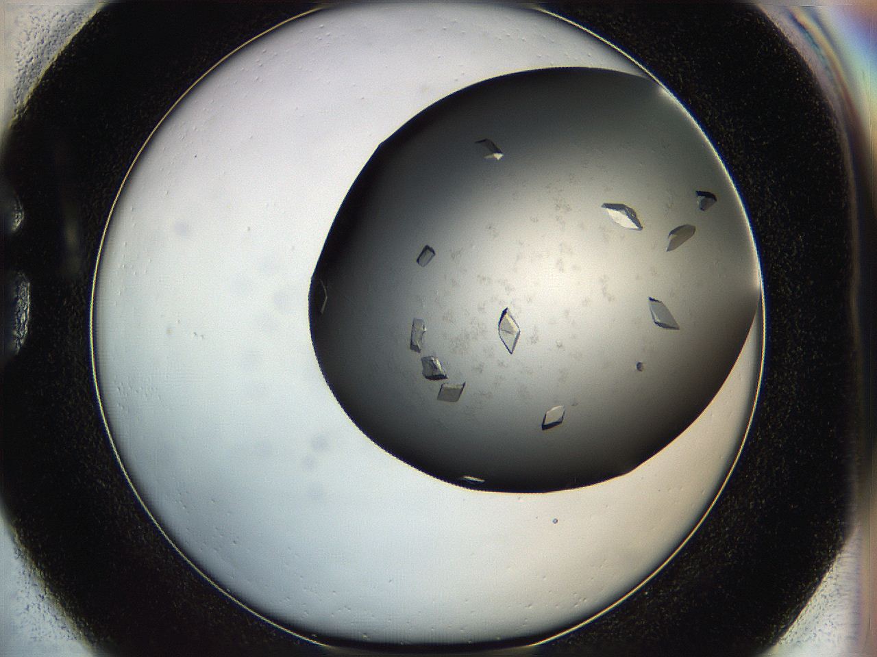05g1_G1_ImagerDefaults_9.jpg