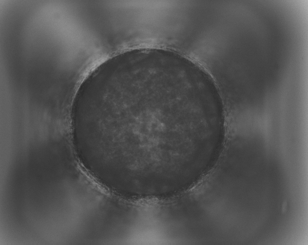 X0000038850882200410131825.png