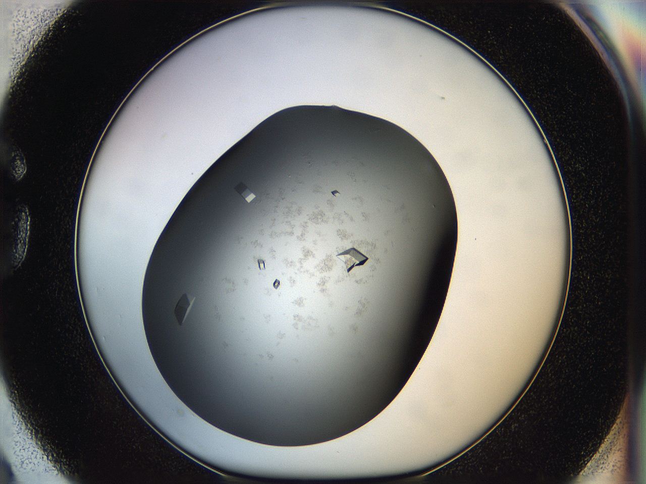 05g1_G3_ImagerDefaults_8.jpg