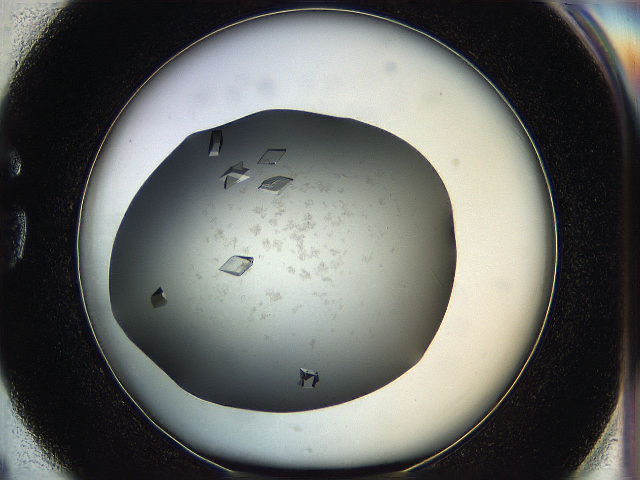 05g1_G4_ImagerDefaults_9.jpg
