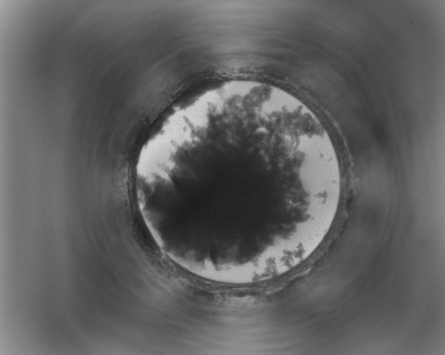 X0000053460647200508112158.png