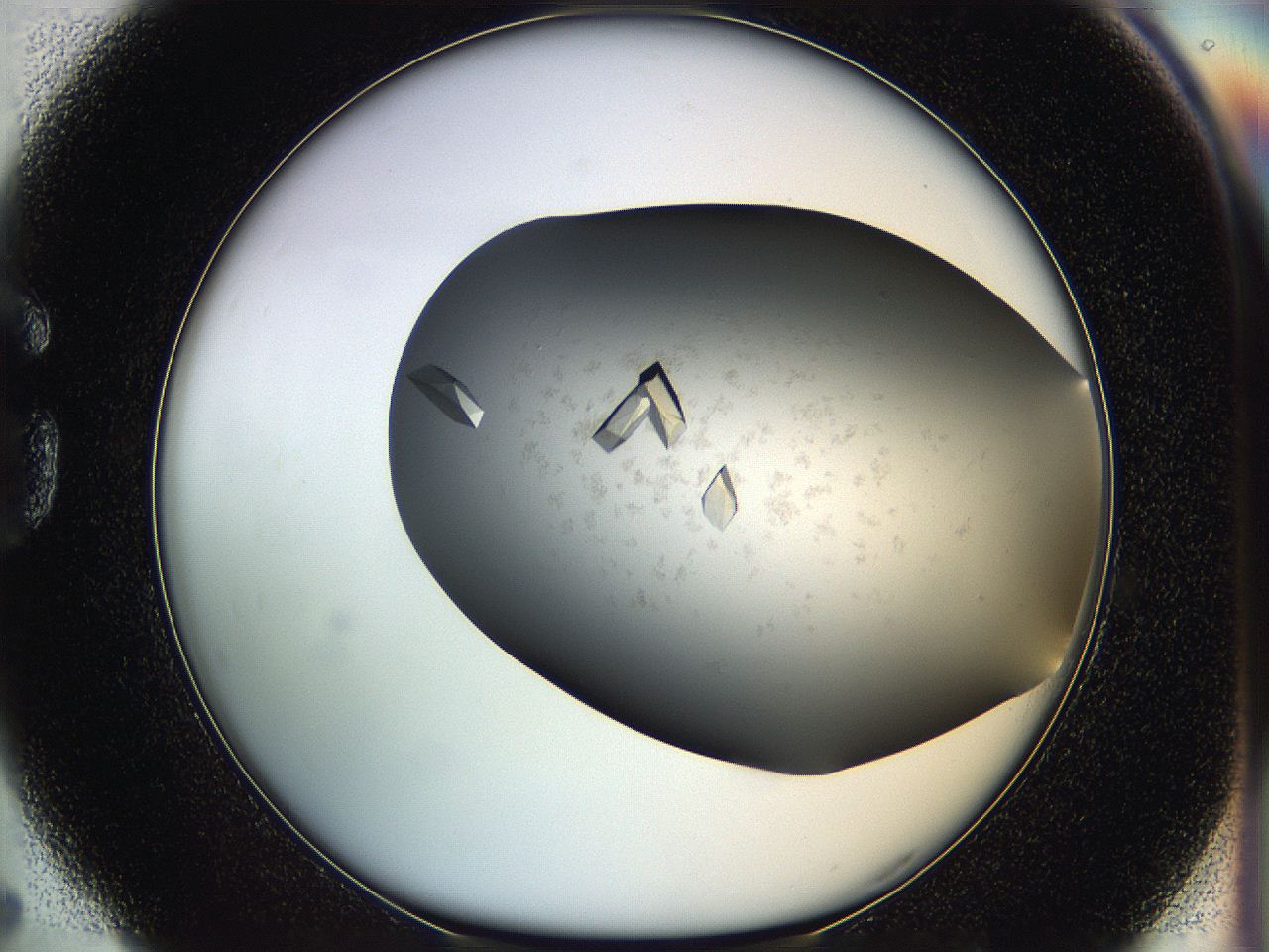 05g1_G5_ImagerDefaults_9.jpg