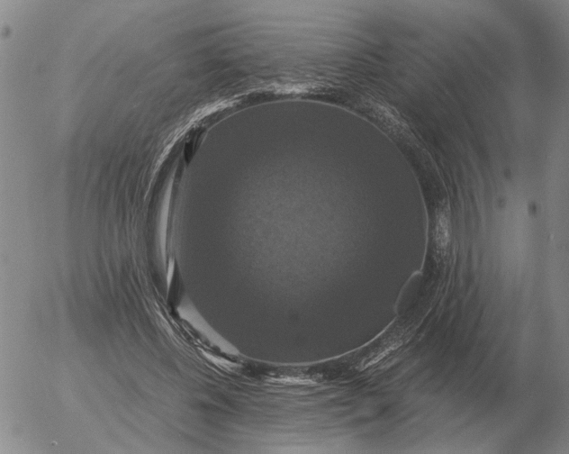 X0000054170540200508101802.png