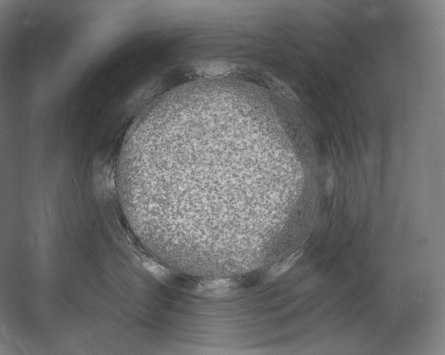 X0000055210431200508301326.png