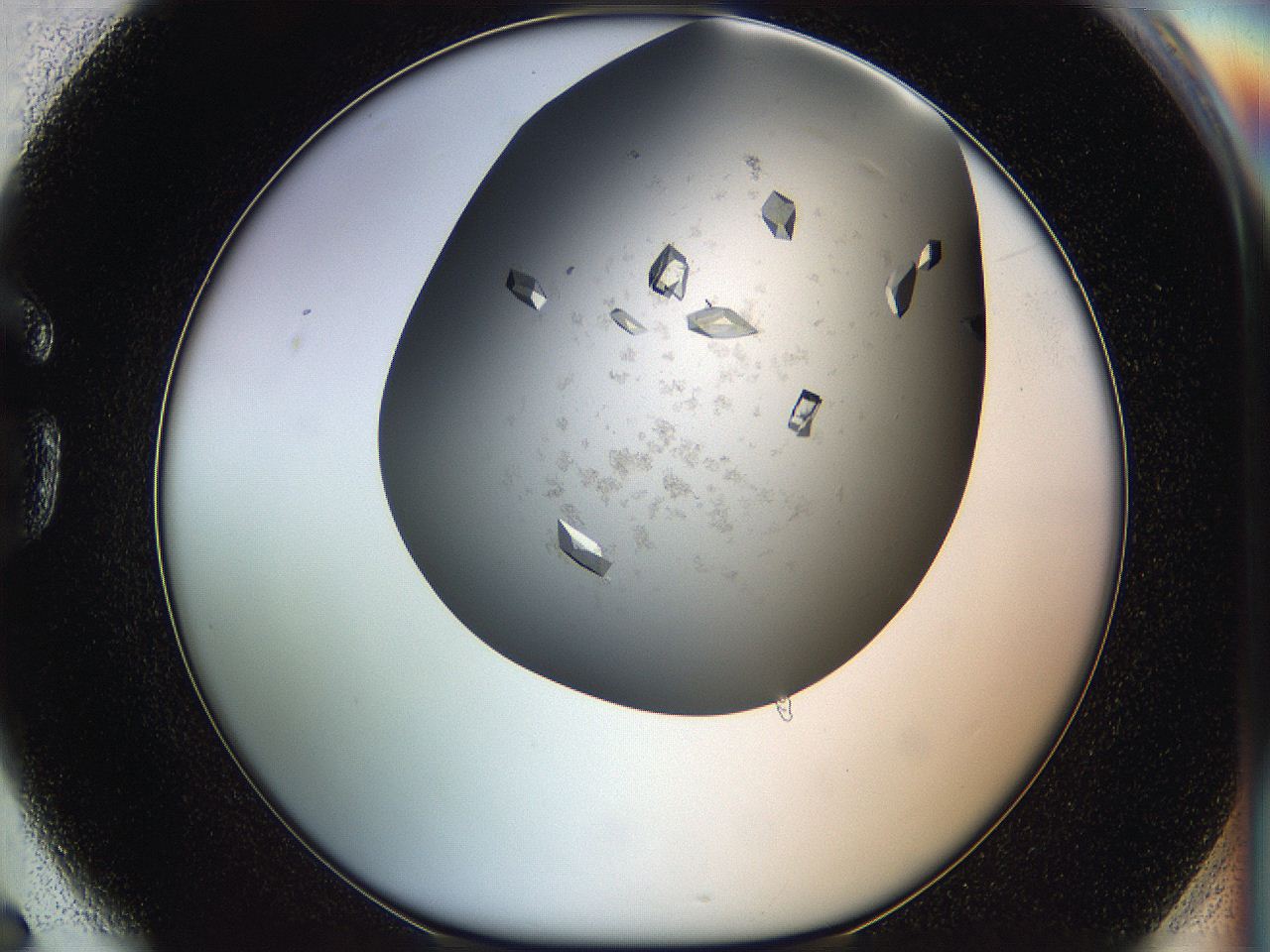 05g1_G6_ImagerDefaults_8.jpg