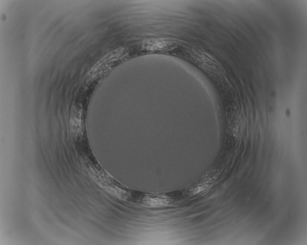 X0000054170510200508101803.png