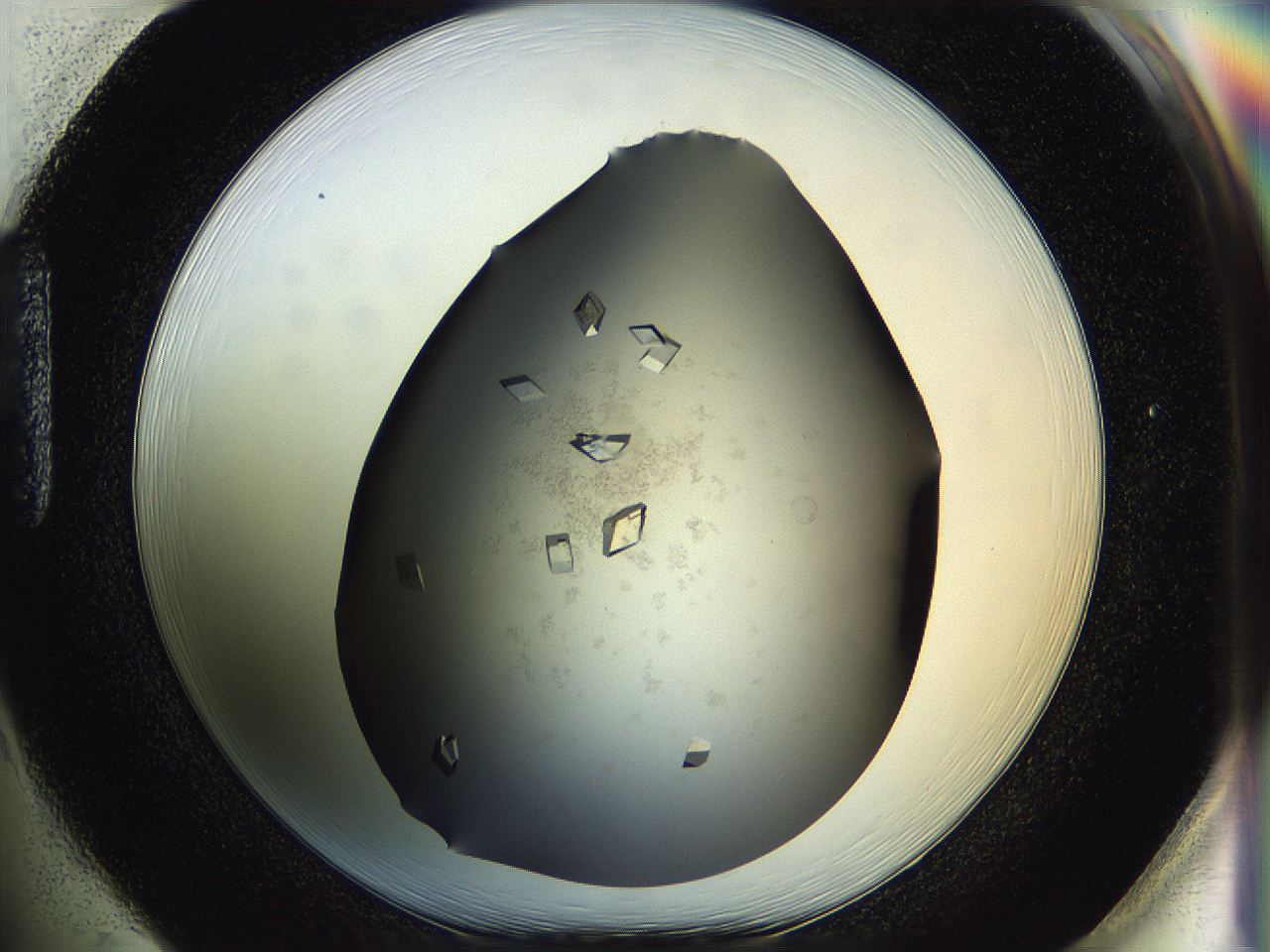 05g1_H1_ImagerDefaults_9.jpg