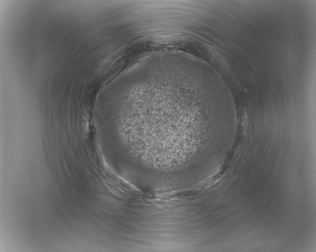 X0000054300868200508042307.png