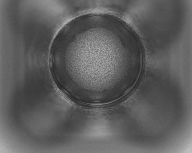 X0000038921232200409290957.png